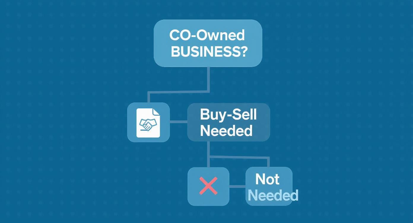 Infographic about what is a buy sell agreement