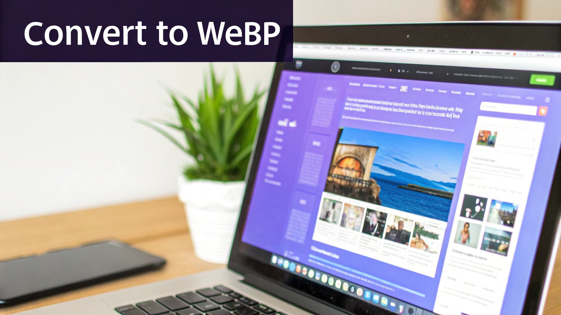 Screenshot from https://wordpress.org/plugins/