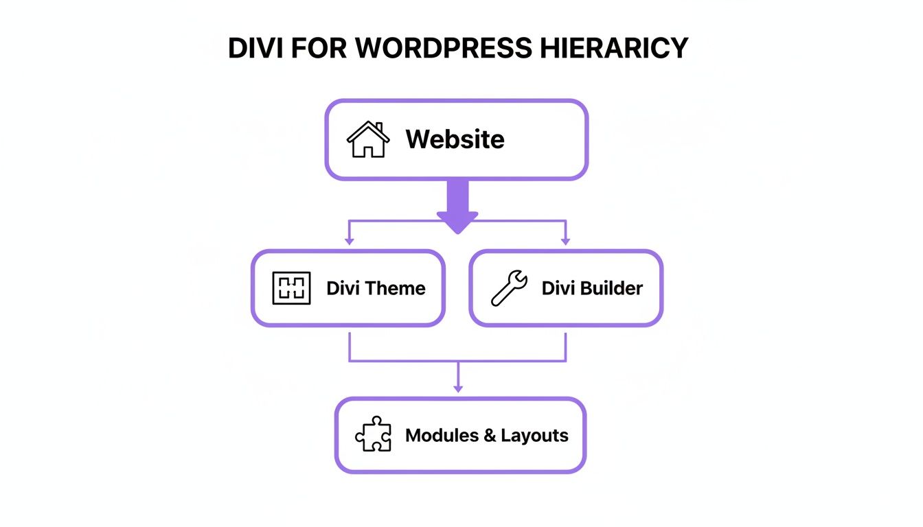 A diagram illustrating the Divi for WordPress hierarchy: Website, Divi Theme, Divi Builder, and Modules & Layouts.