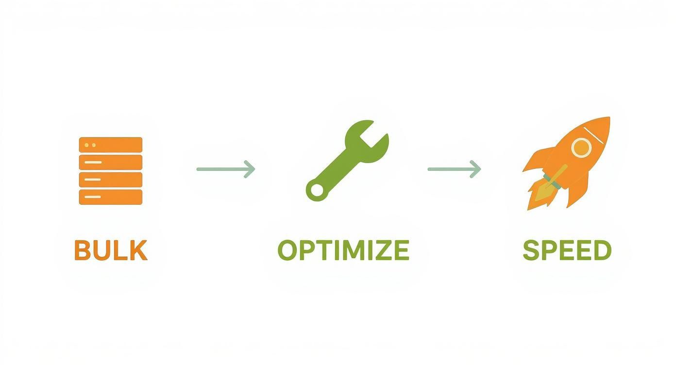 Infographic about image optimization for wordpress