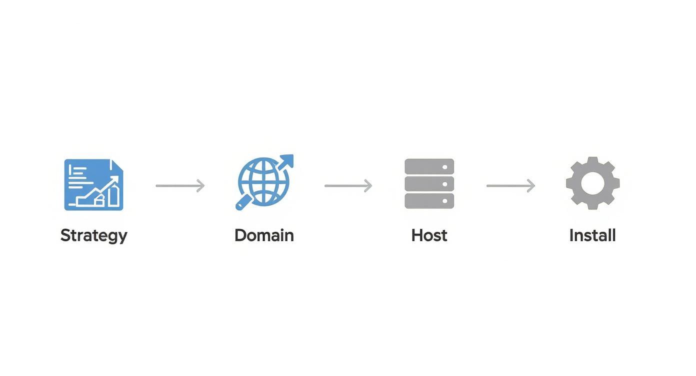Infographic about how to create professional websites