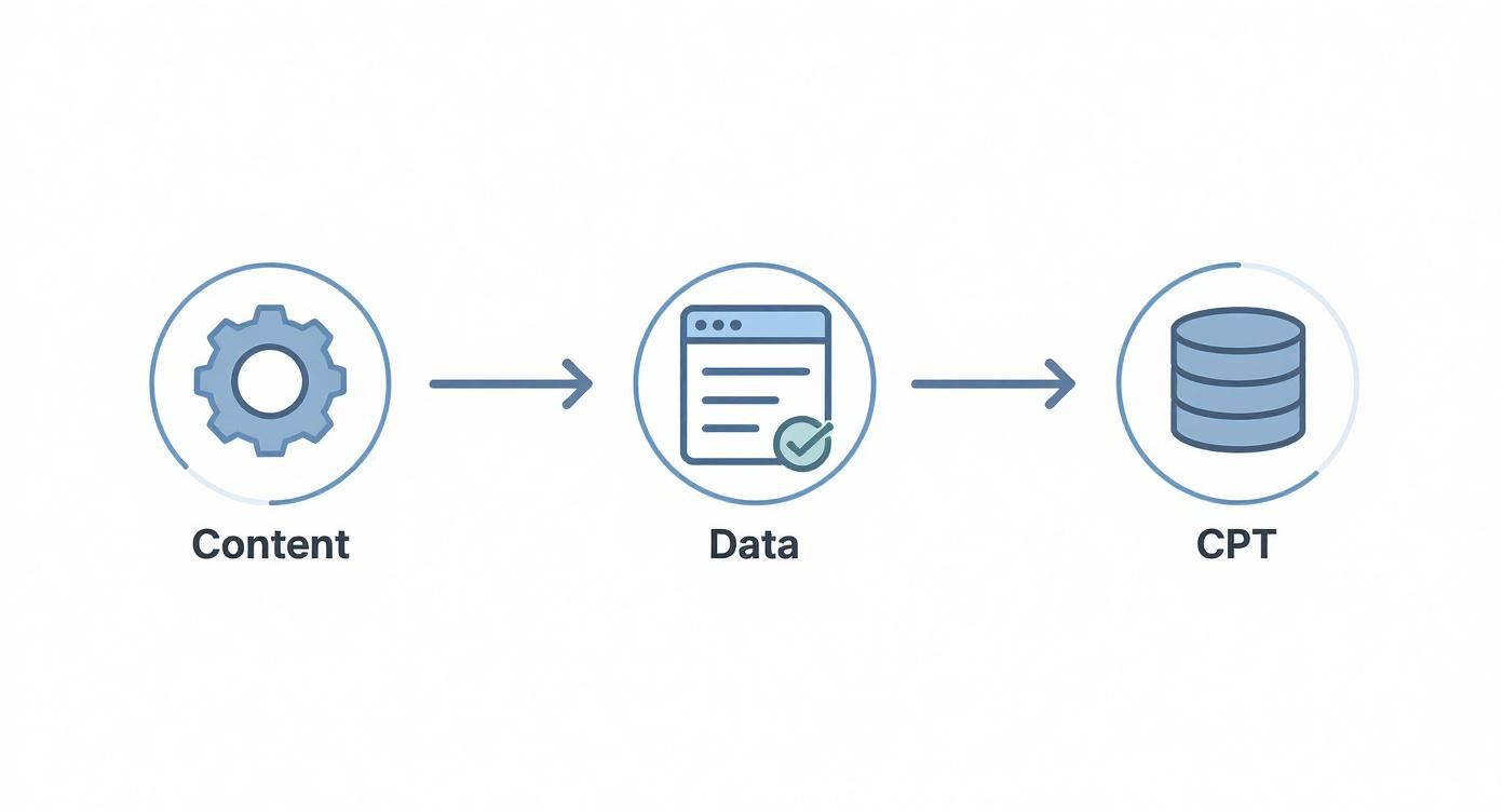 A diagram illustrates content processing stages: Content (gear) to Data (document with check) to CPT (database).