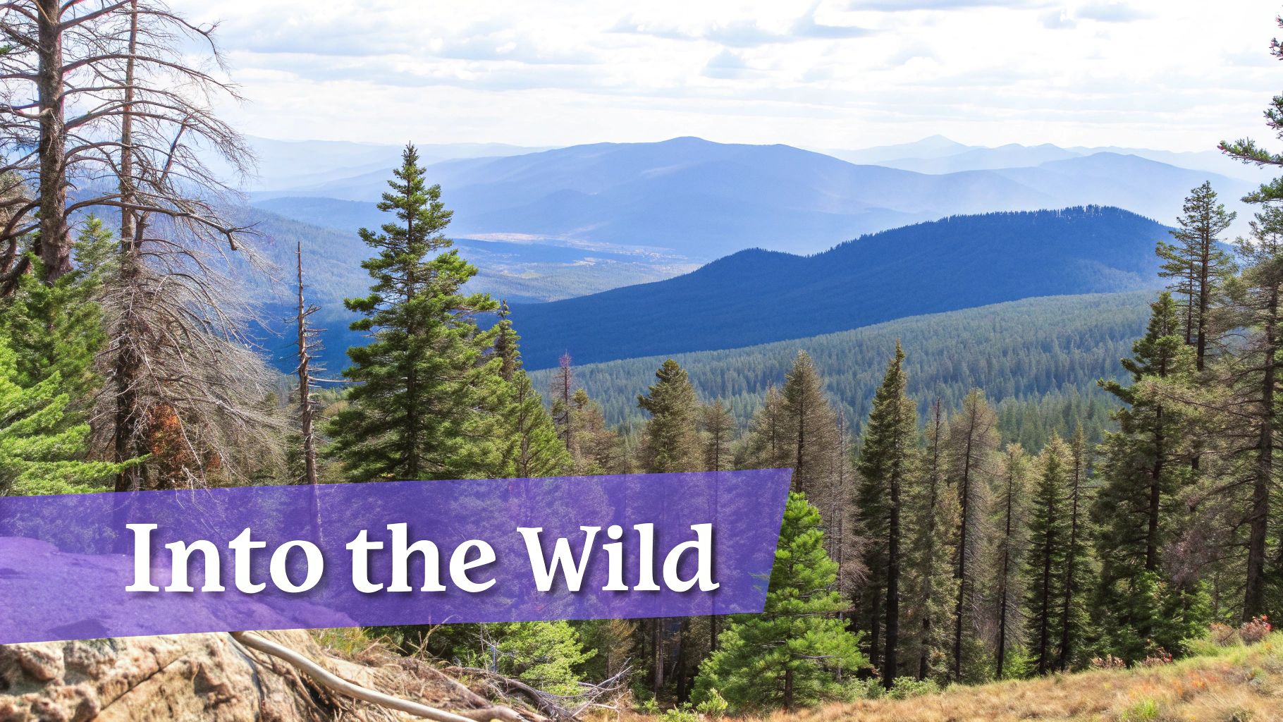 Firewatch Game Website showing a stylized, layered forest landscape with mountains in the background.