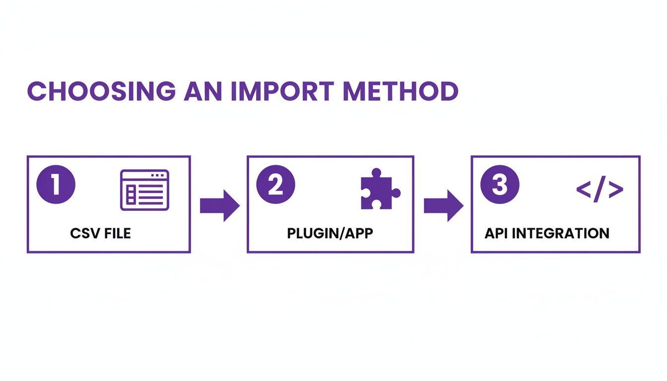 Flowchart illustrating three methods for data import: CSV file, plugin/app, and API integration.