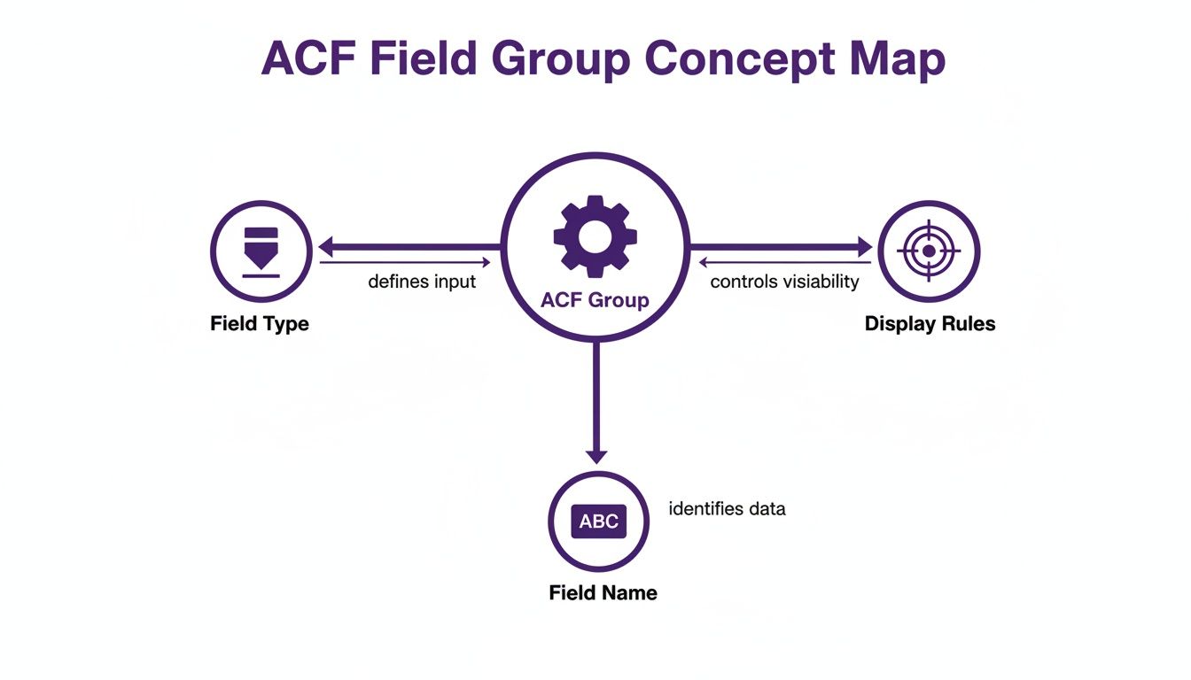 Concept map illustrating the relationships between ACF Field Group, Field Type, Display Rules, and Field Name.