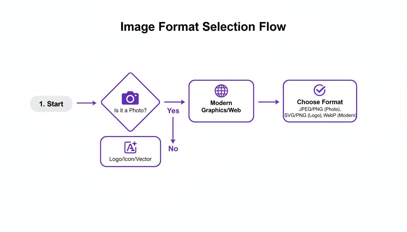 Flowchart for selecting image formats, distinguishing between photos, logos, and web graphics for optimal use.