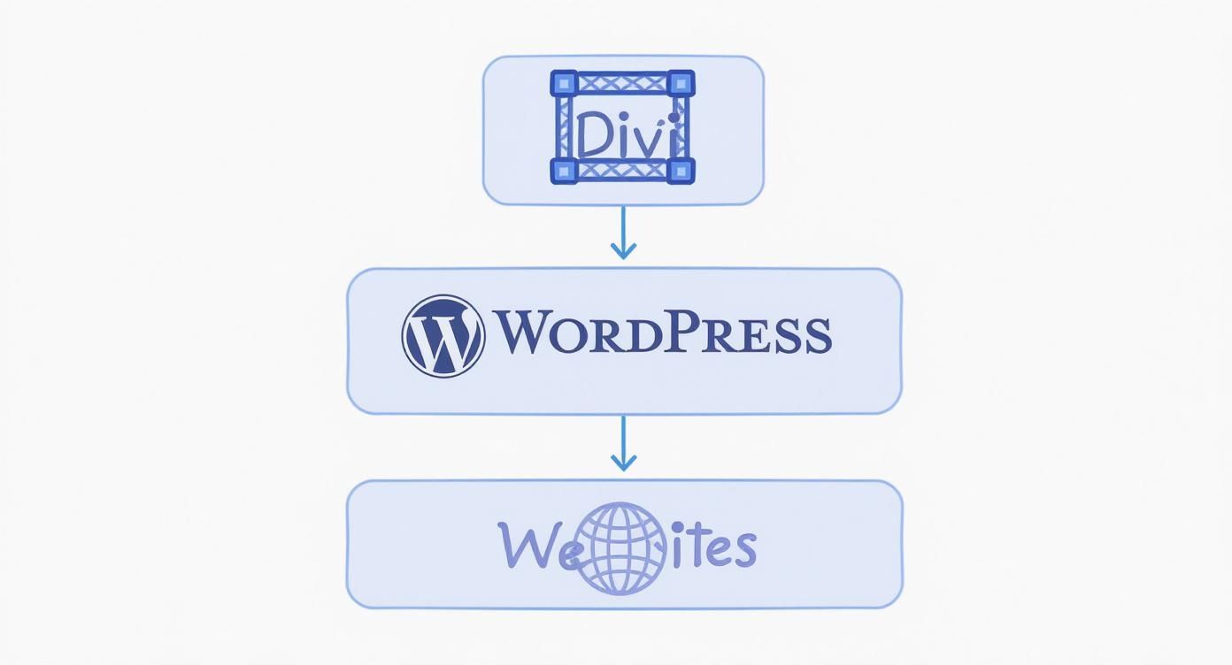Divi page builder integrating with WordPress platform to create professional websites workflow diagram