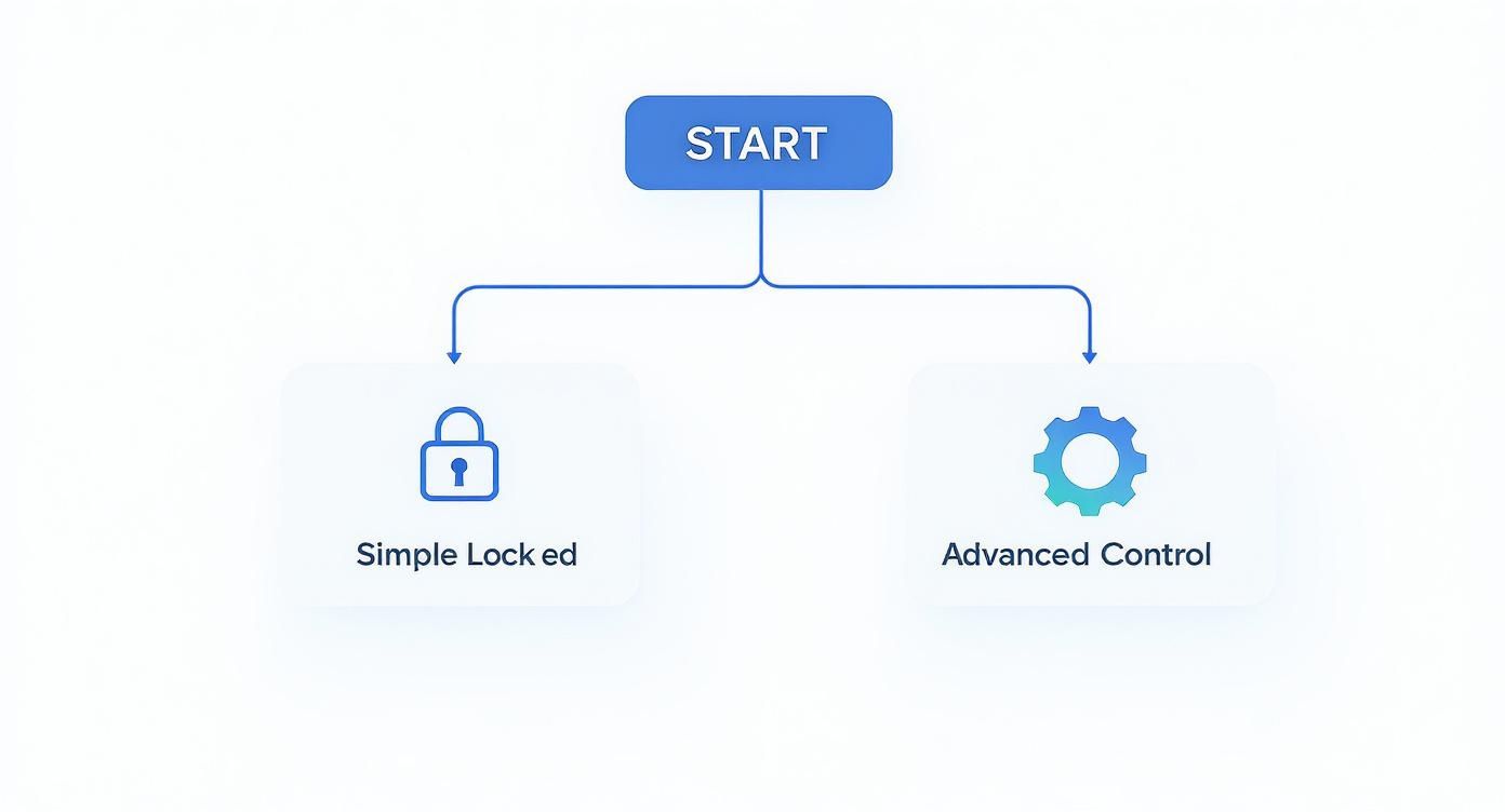 Infographic decision tree asking 'What do you need?' with options for 'Simple Lock' leading to the native WordPress feature and 'Advanced Control' leading to plugins.