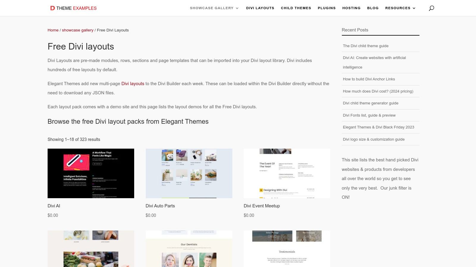 Divi Theme Examples