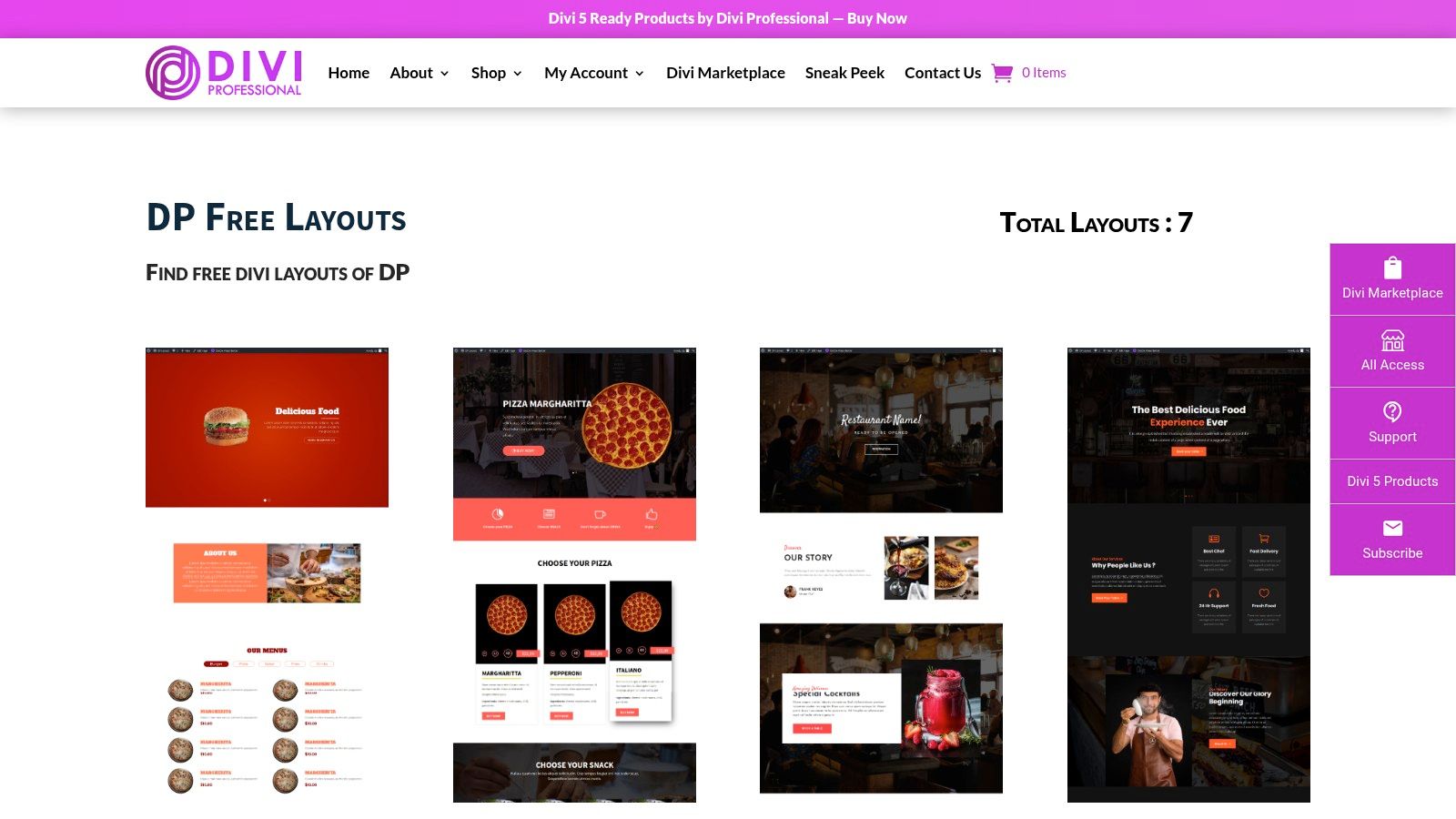 Divi Professional – Free Divi Layouts