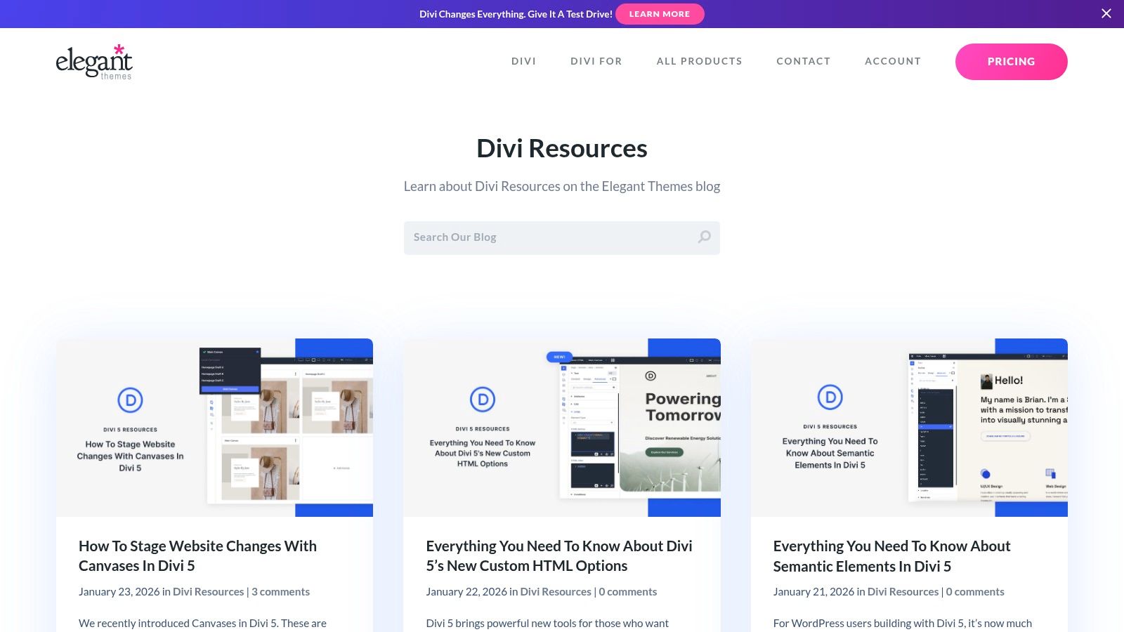 Elegant Themes (Divi)