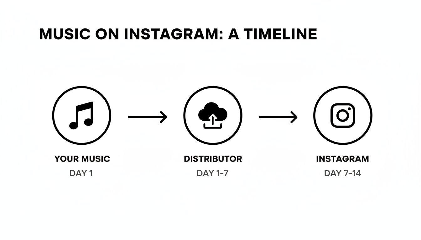 Timeline illustrating the steps to get your music on Instagram via a distributor, detailing the days required.
