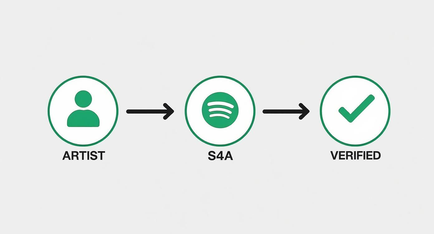A diagram illustrates the process for an artist to get verified on Spotify through the S4A platform.