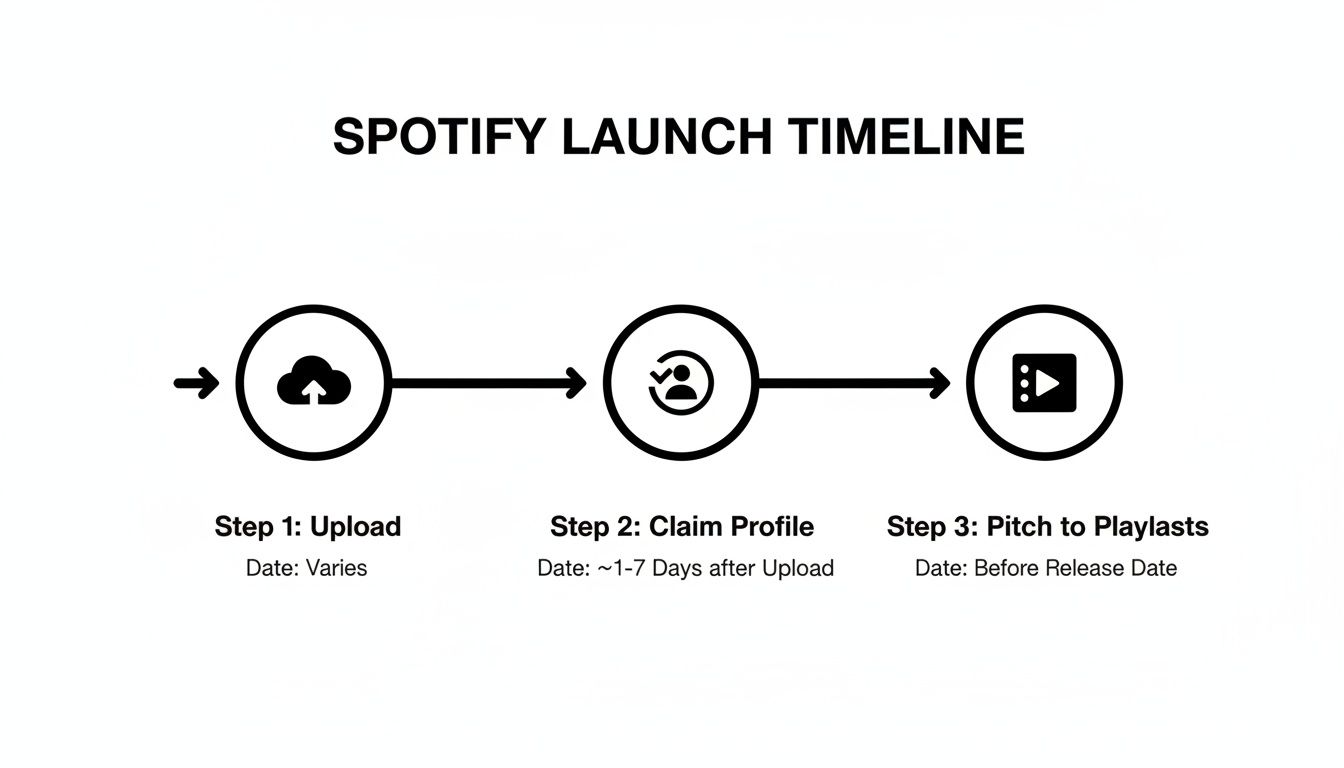 A Spotify launch timeline infographic showing three steps: upload, claim profile, and pitch to playlists with associated dates.
