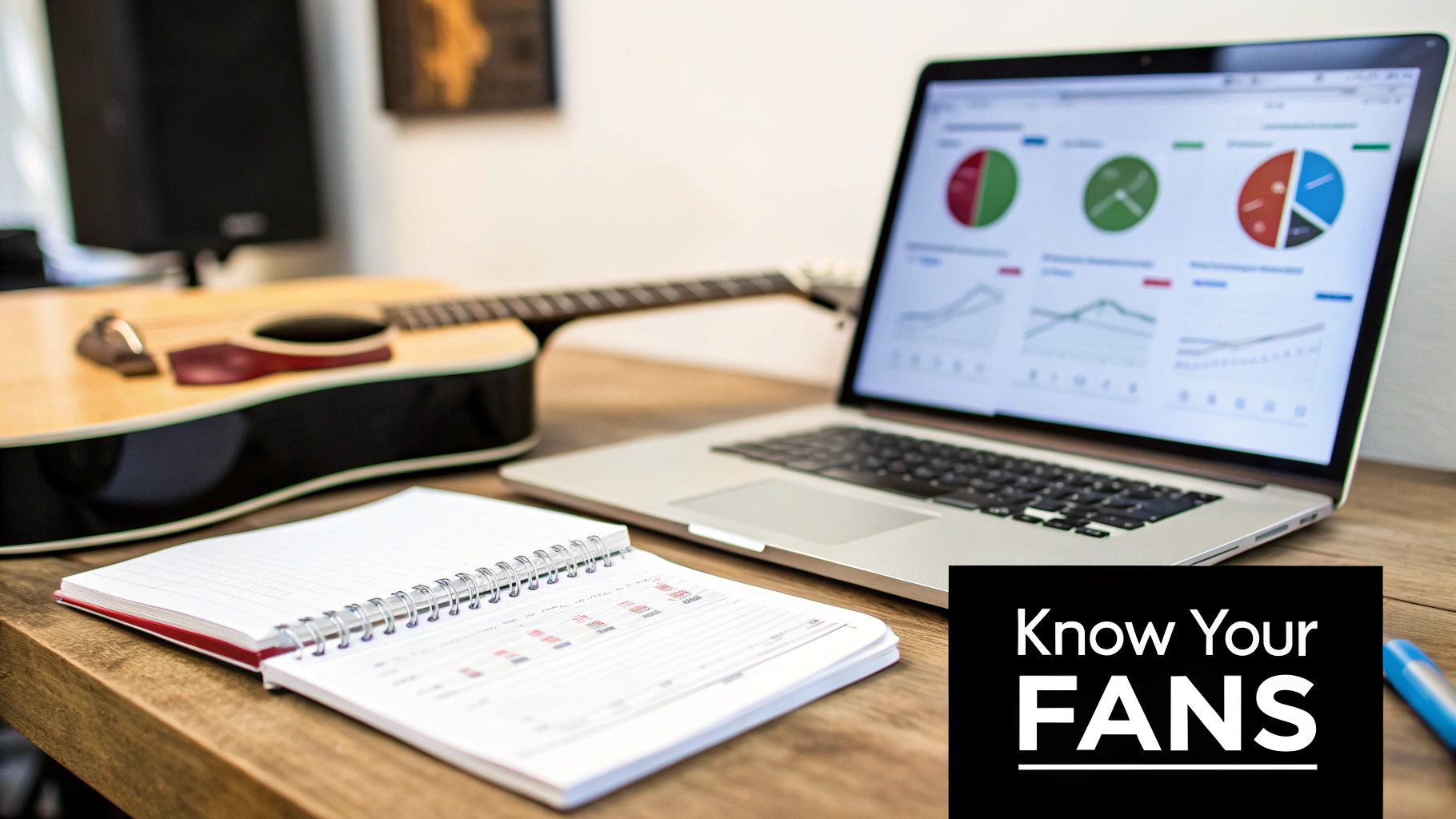 Artist using analytics dashboard