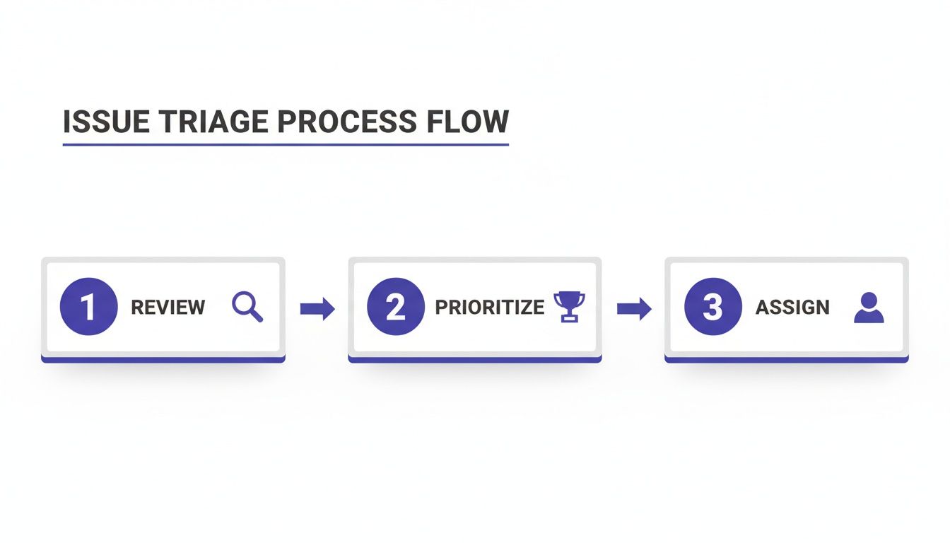 An issue triage process flow diagram showing three sequential steps: Review, Prioritize, and Assign.