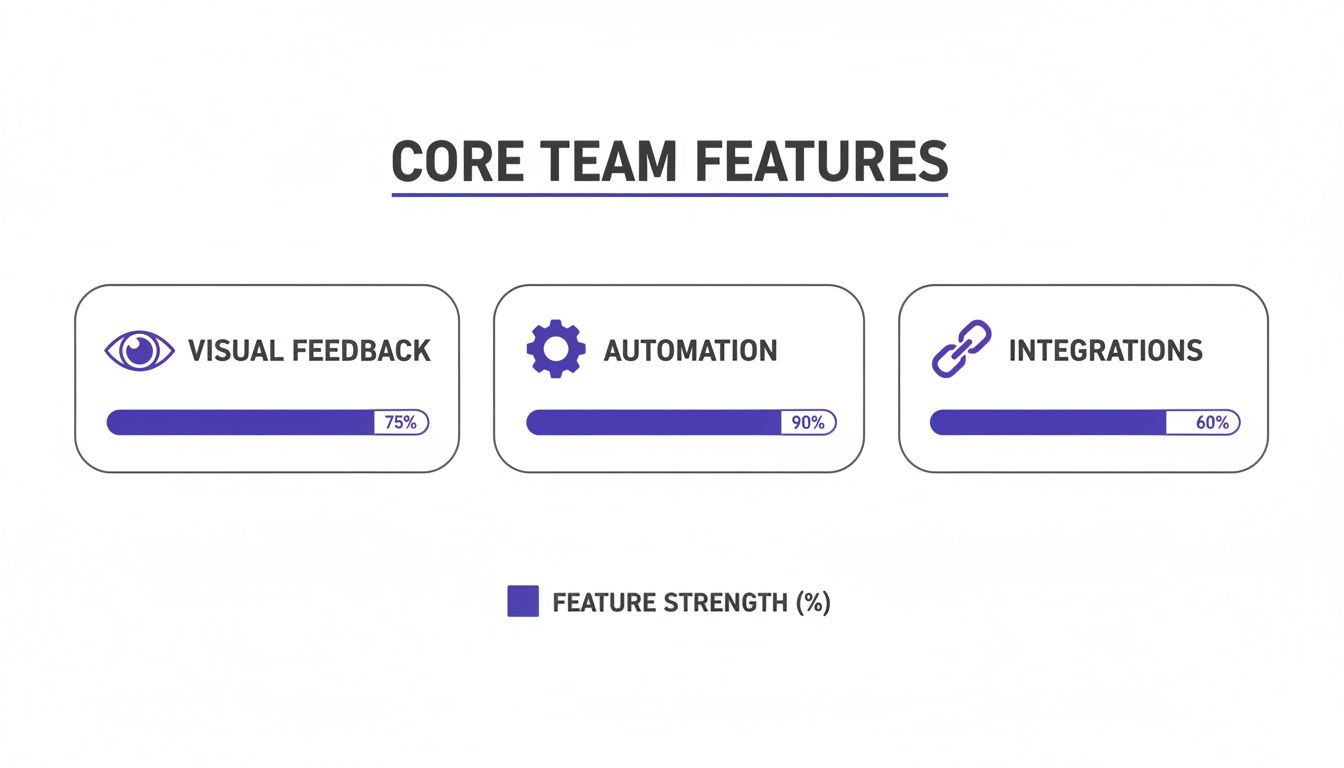 Infographic displaying core team features: Visual Feedback (75%), Automation (90%), and Integrations (60%).