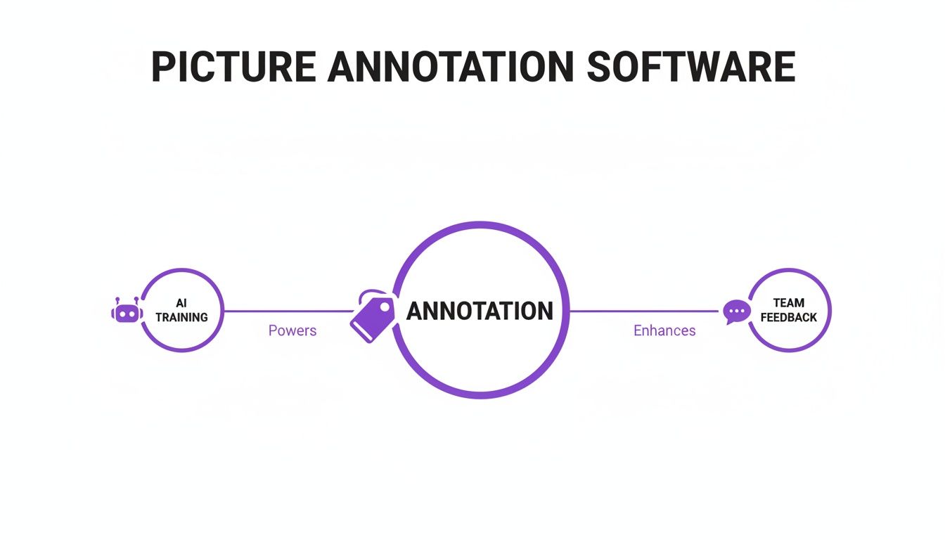 A diagram illustrates the picture annotation software workflow: AI training powers annotation, which enhances team feedback.