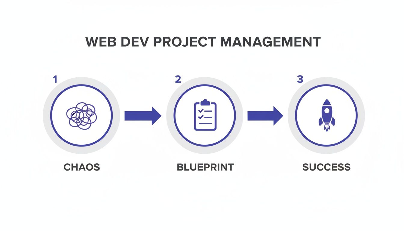 Infographic showing web development project management process from initial chaos to a successful launch.