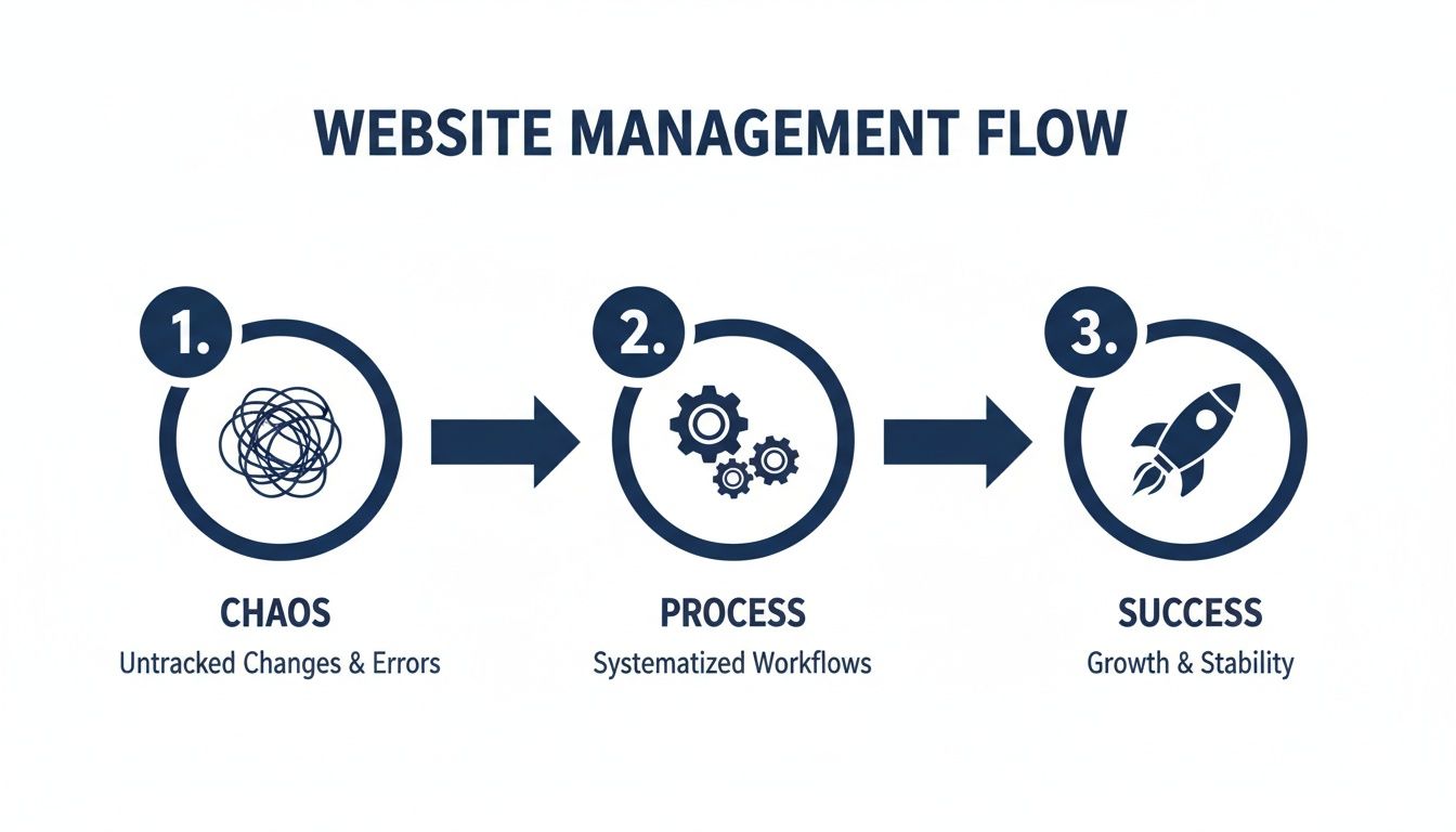 Infographic showing a website management flow, progressing from chaos to process to success.