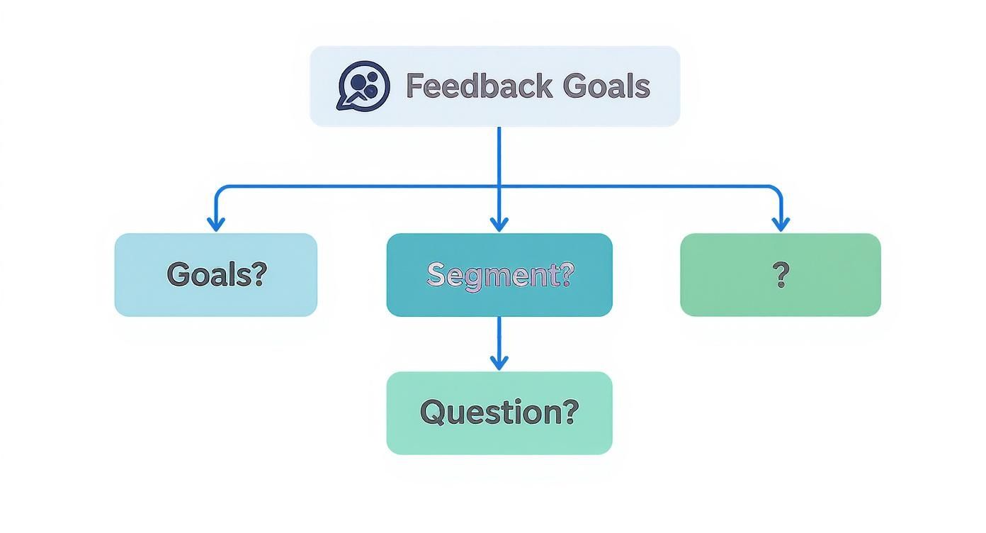 Infographic about how to gather customer feedback