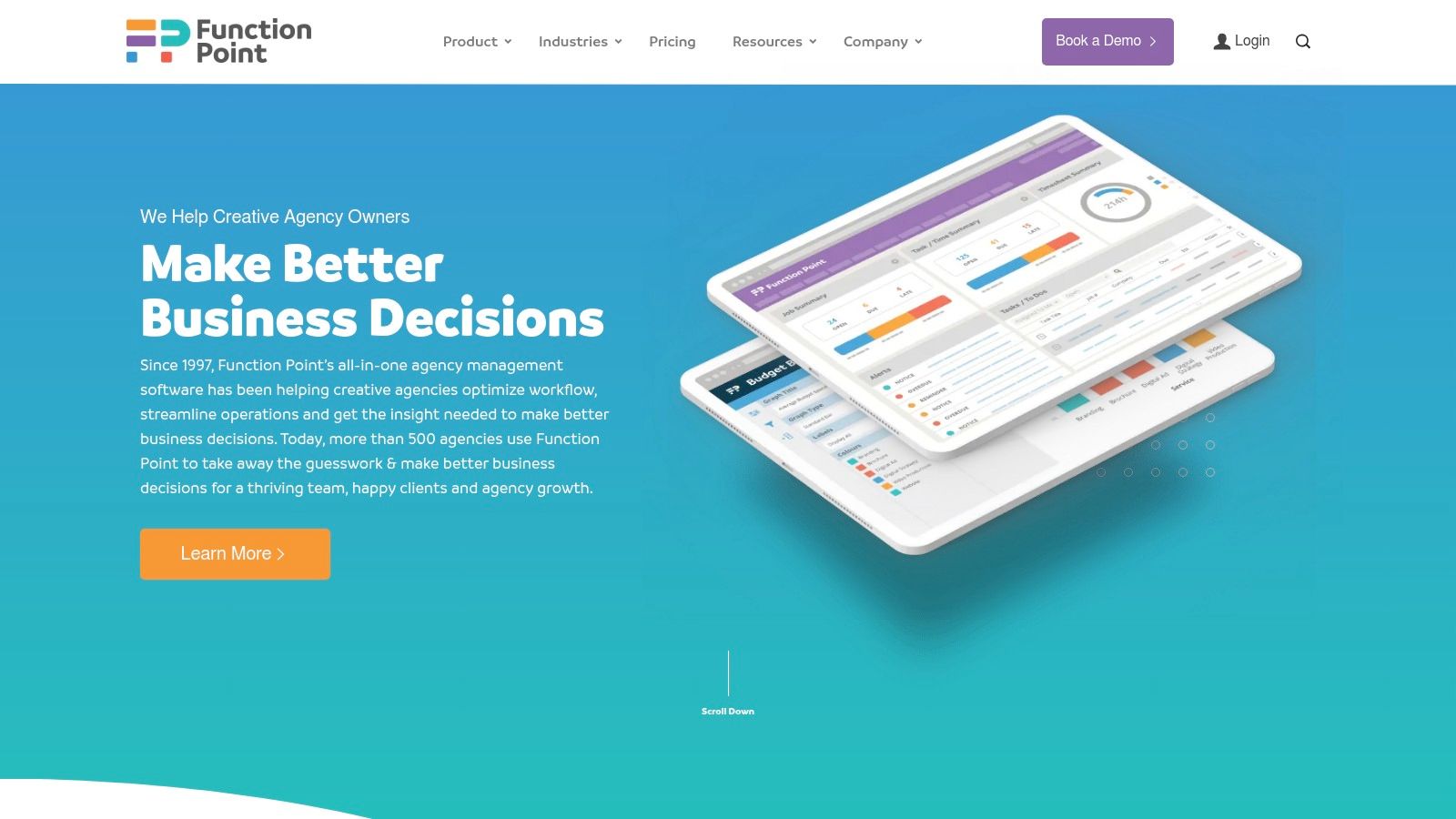 Function Point's project dashboard showing budgets and tasks
