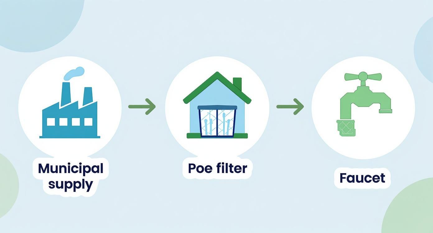 Infographic about point of entry water filters