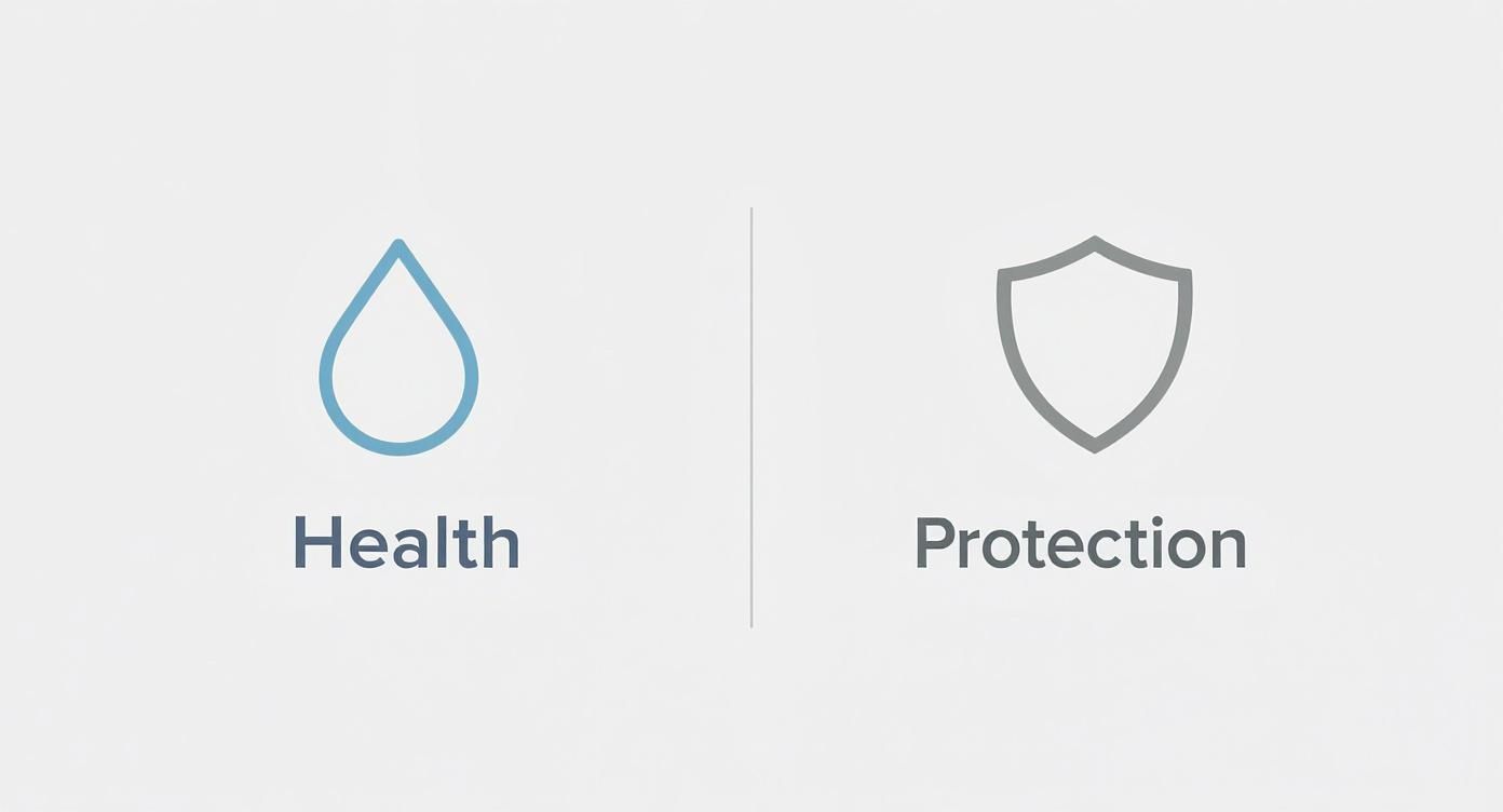 Two icons separated by a line: a blue water drop for Health and a gray shield for Protection.