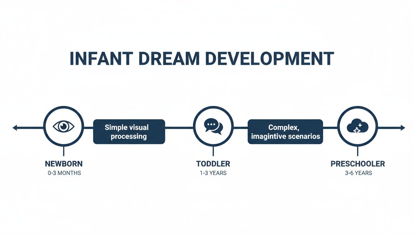 A timeline diagram illustrating infant dream development stages from newborn to preschooler, showing visual processing and imaginative scenarios.