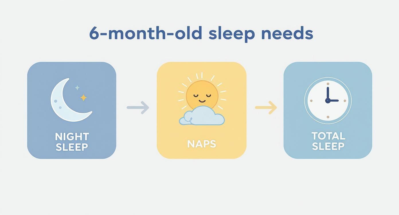 Diagram illustrating 6-month-old baby's sleep needs, breaking down night sleep, naps, and total sleep.