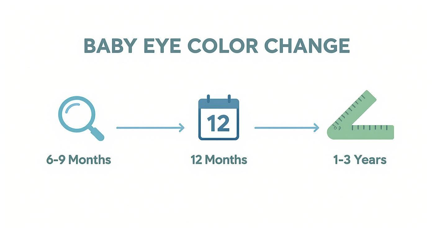 Timeline infographic showing baby eye color change stages from six months to three years