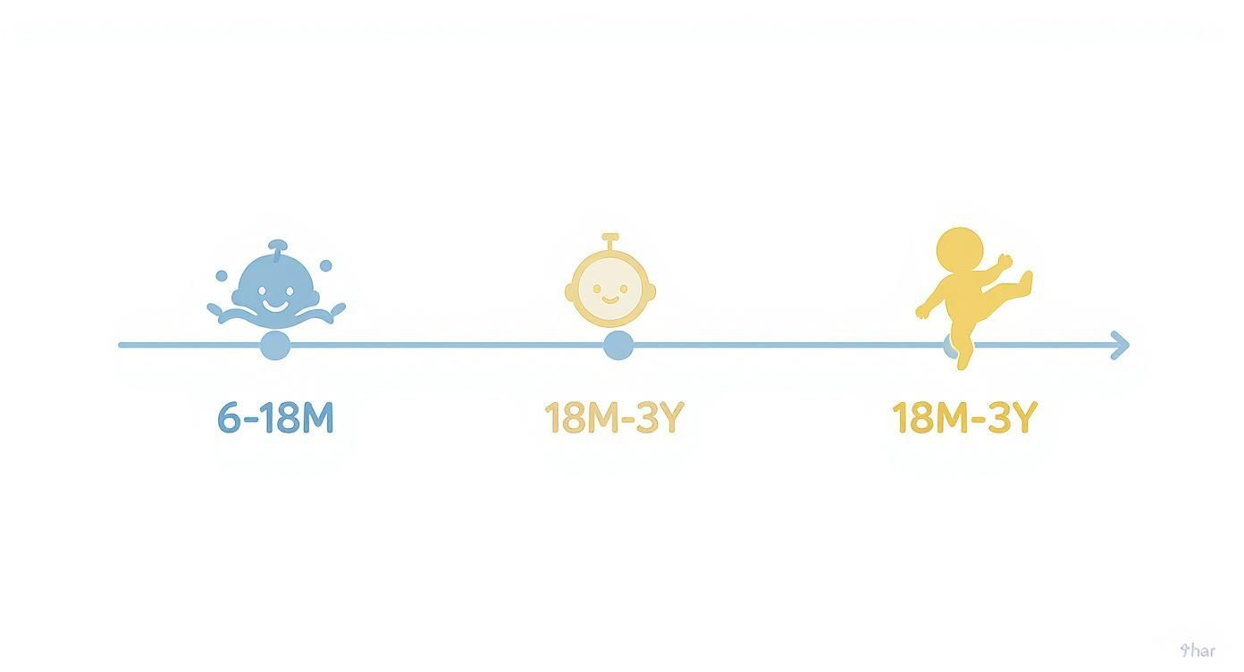 A developmental timeline illustrating three stages for babies and toddlers from 6 months to 3 years.