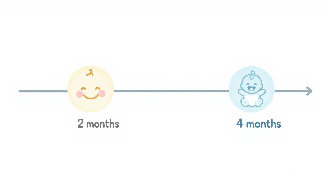 Baby development timeline with a smiling face at 2 months and a happy baby outline at 4 months.