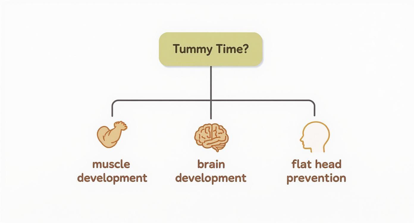 Infographic about tummy time mats for infants