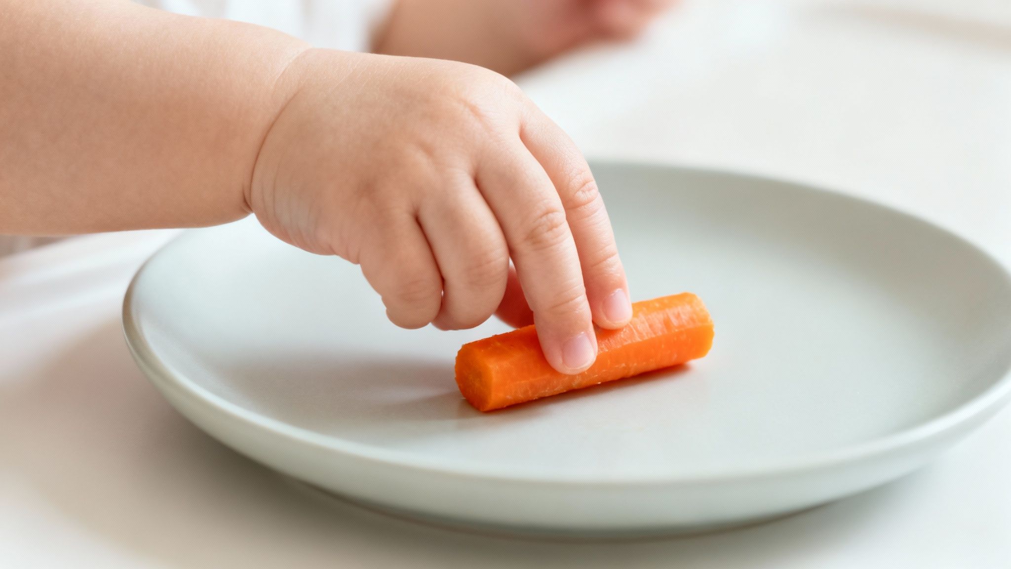 Close-up of a baby's hand reaching for a healthy carrot stick on a white plate.