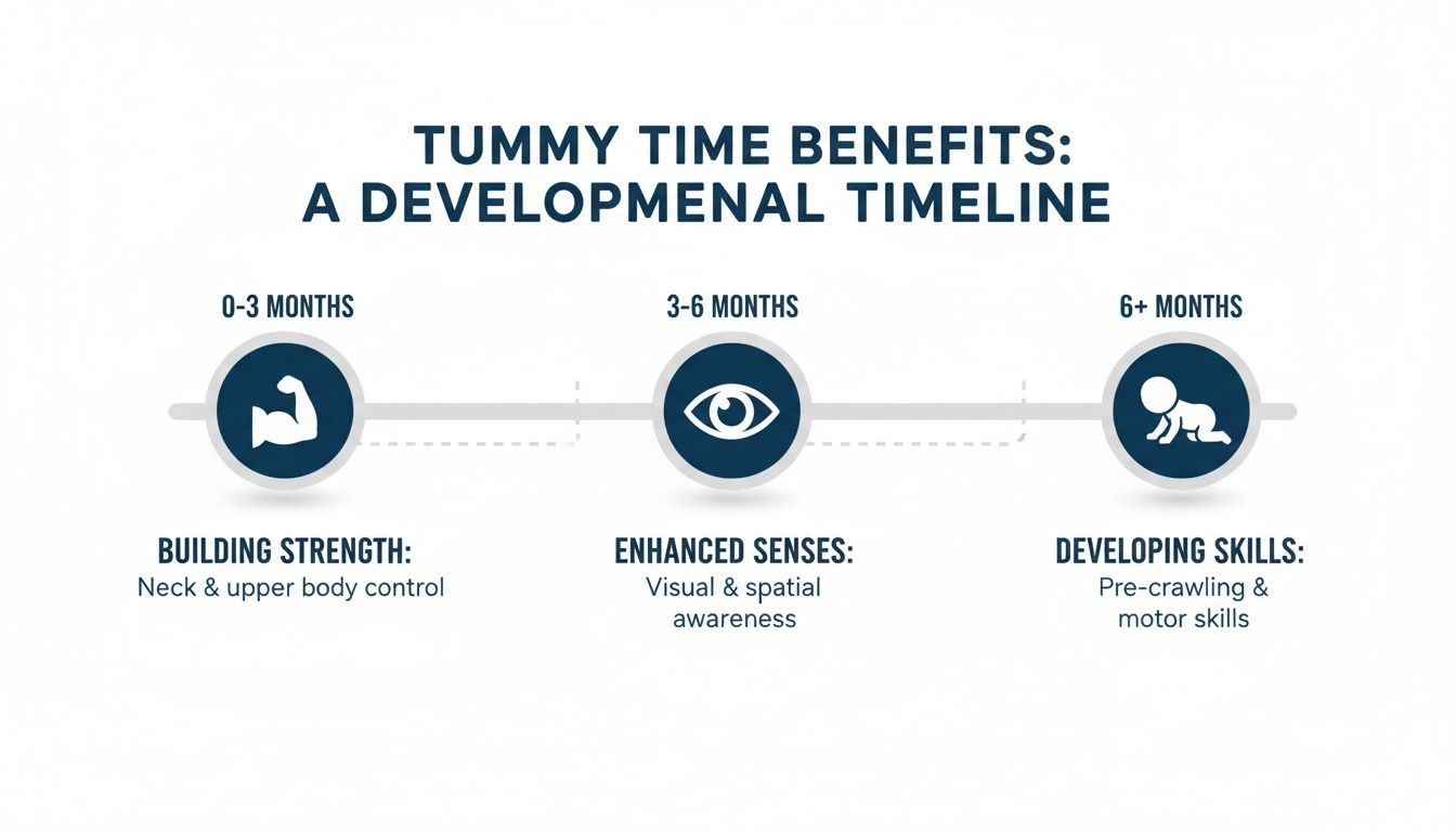 Infographic details tummy time benefits by age: strength, senses, and motor skills development.