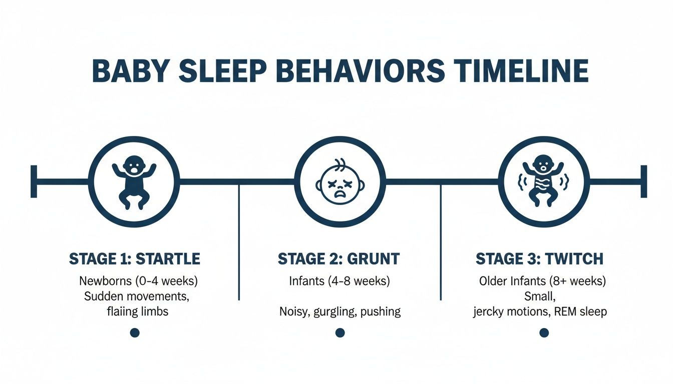A timeline illustrating three stages of baby sleep behaviors: startle, grunt, and twitch.