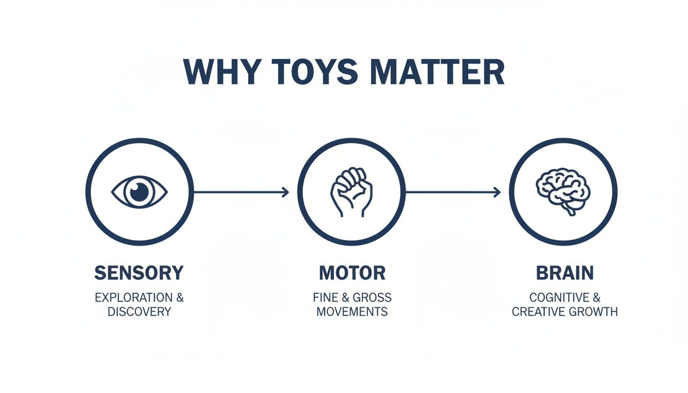 Infographic showing why toys matter for child development, progressing from sensory to motor and brain growth.