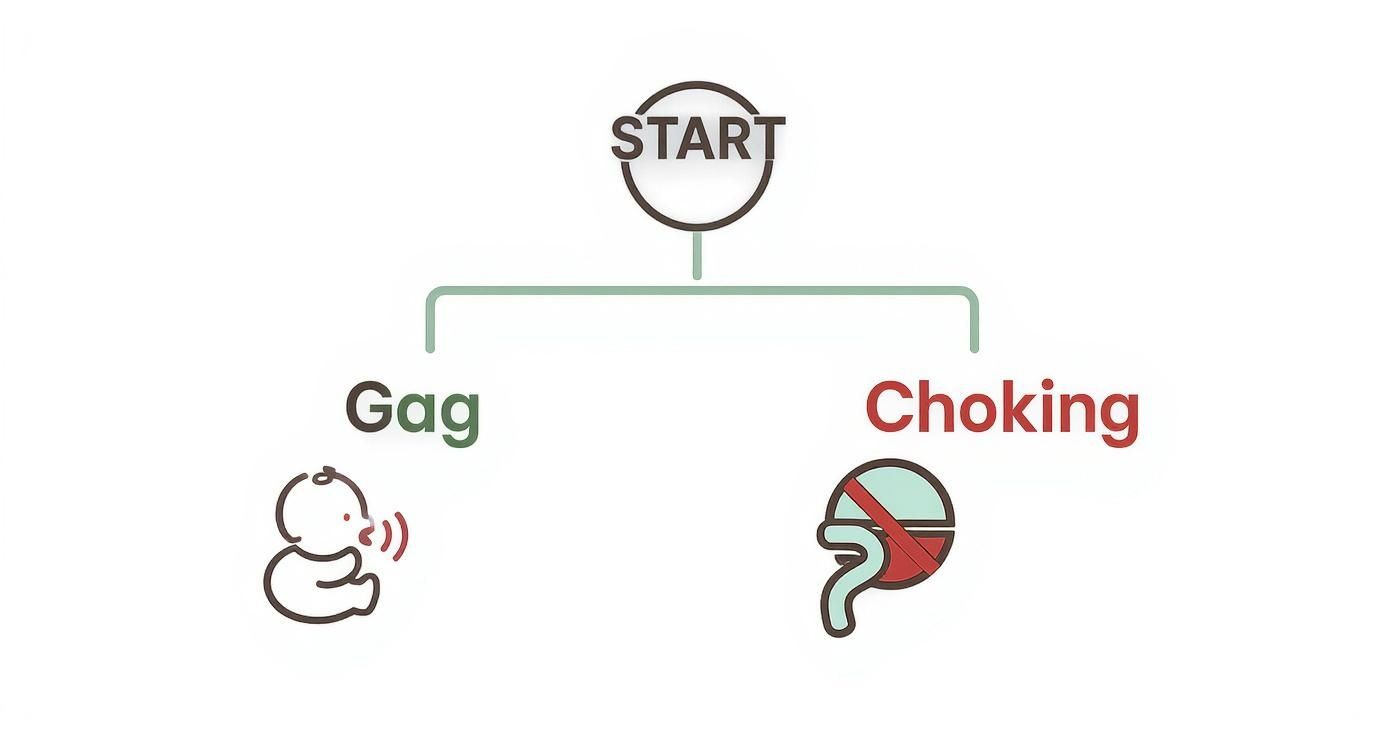 Flowchart illustrating the difference between baby gagging (with sound) and choking (blocked airway).