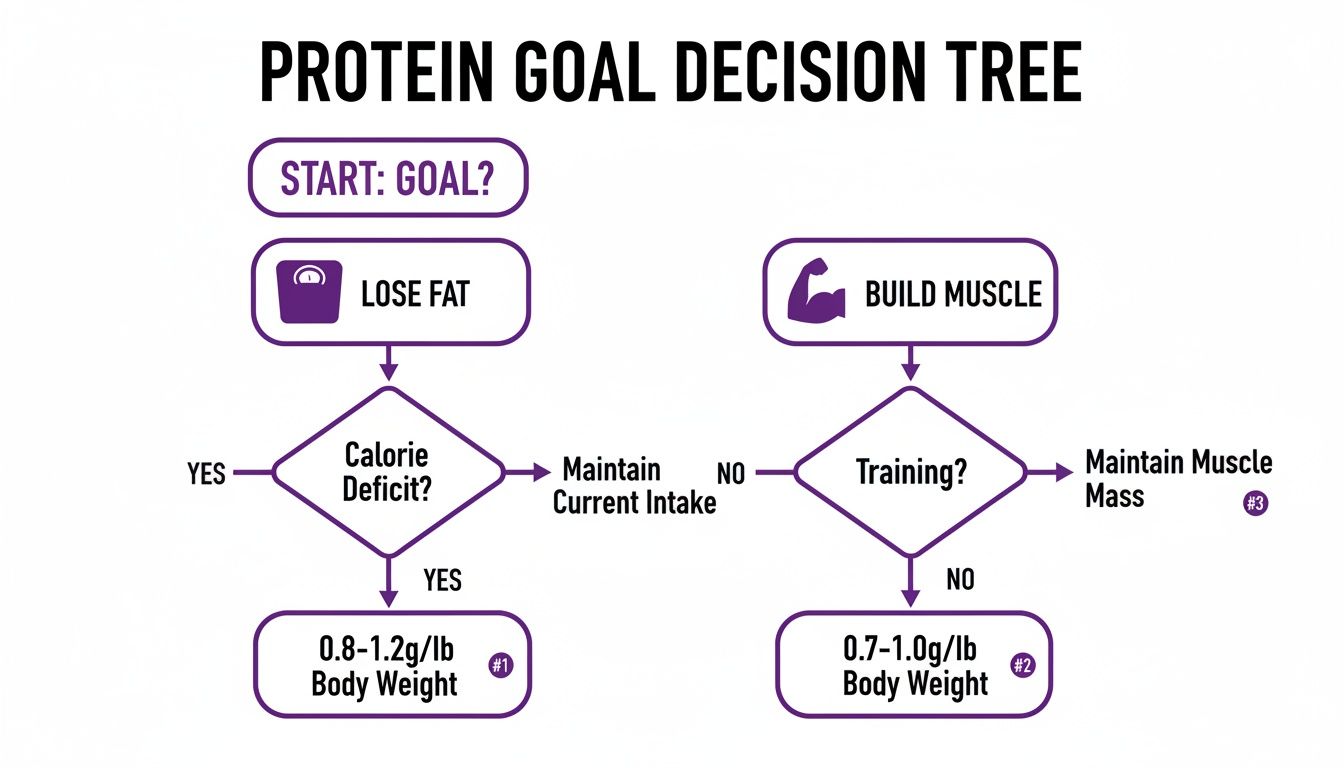 Protein goal decision tree showing recommended intake for losing fat or building muscle based on calorie deficit and training.