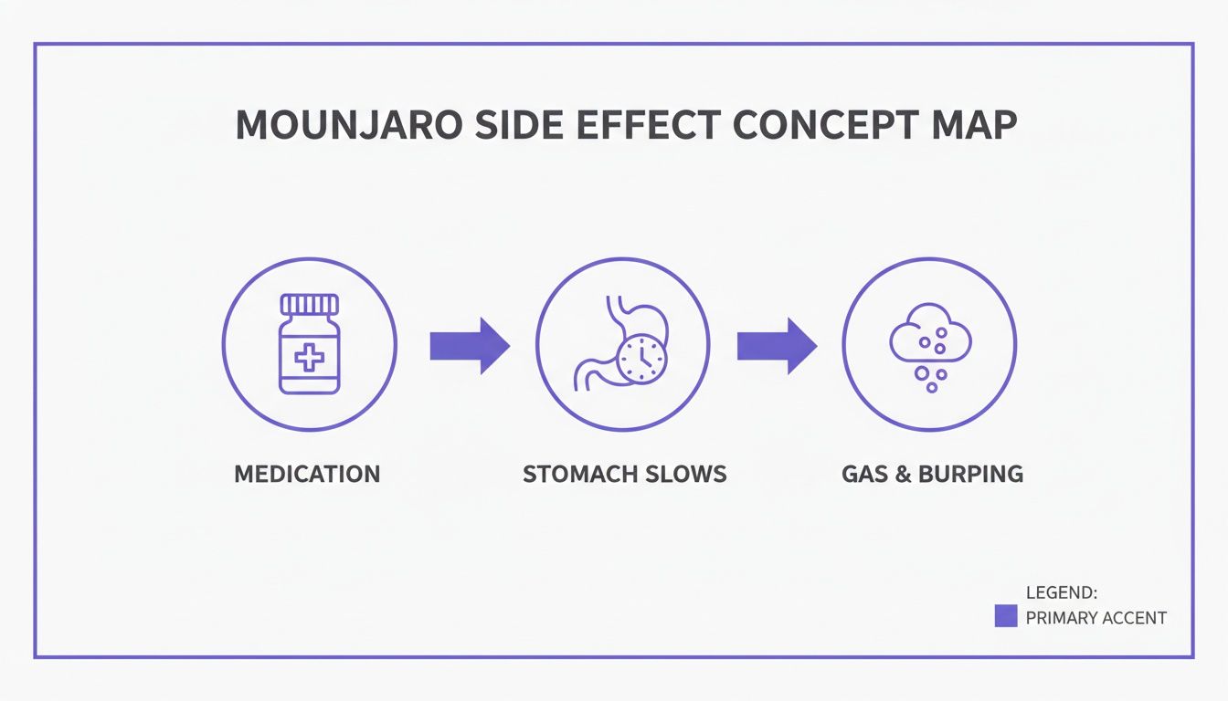 A concept map illustrating Mounjaro medication causing stomach slowdowns, leading to gas and burping.