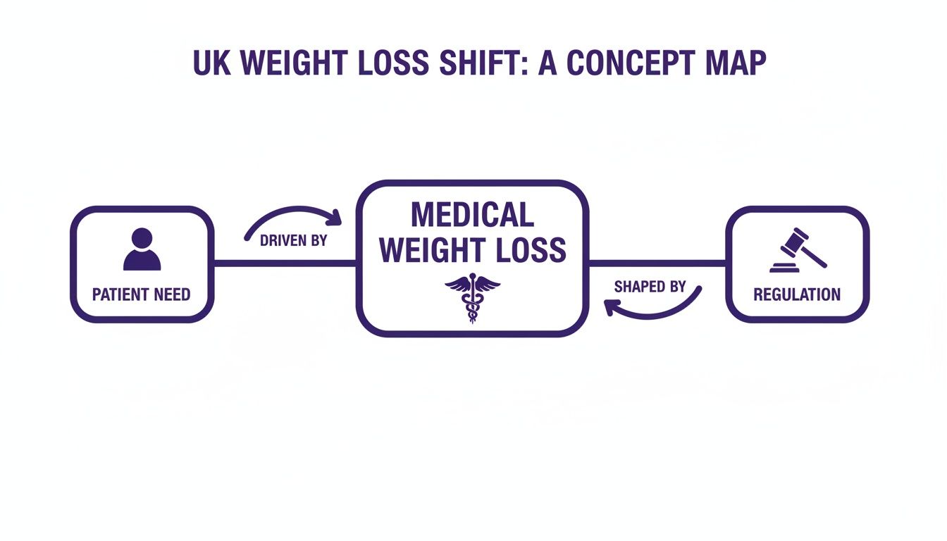 Concept map illustrating the UK weight loss shift, driven by patient need and shaped by regulation.