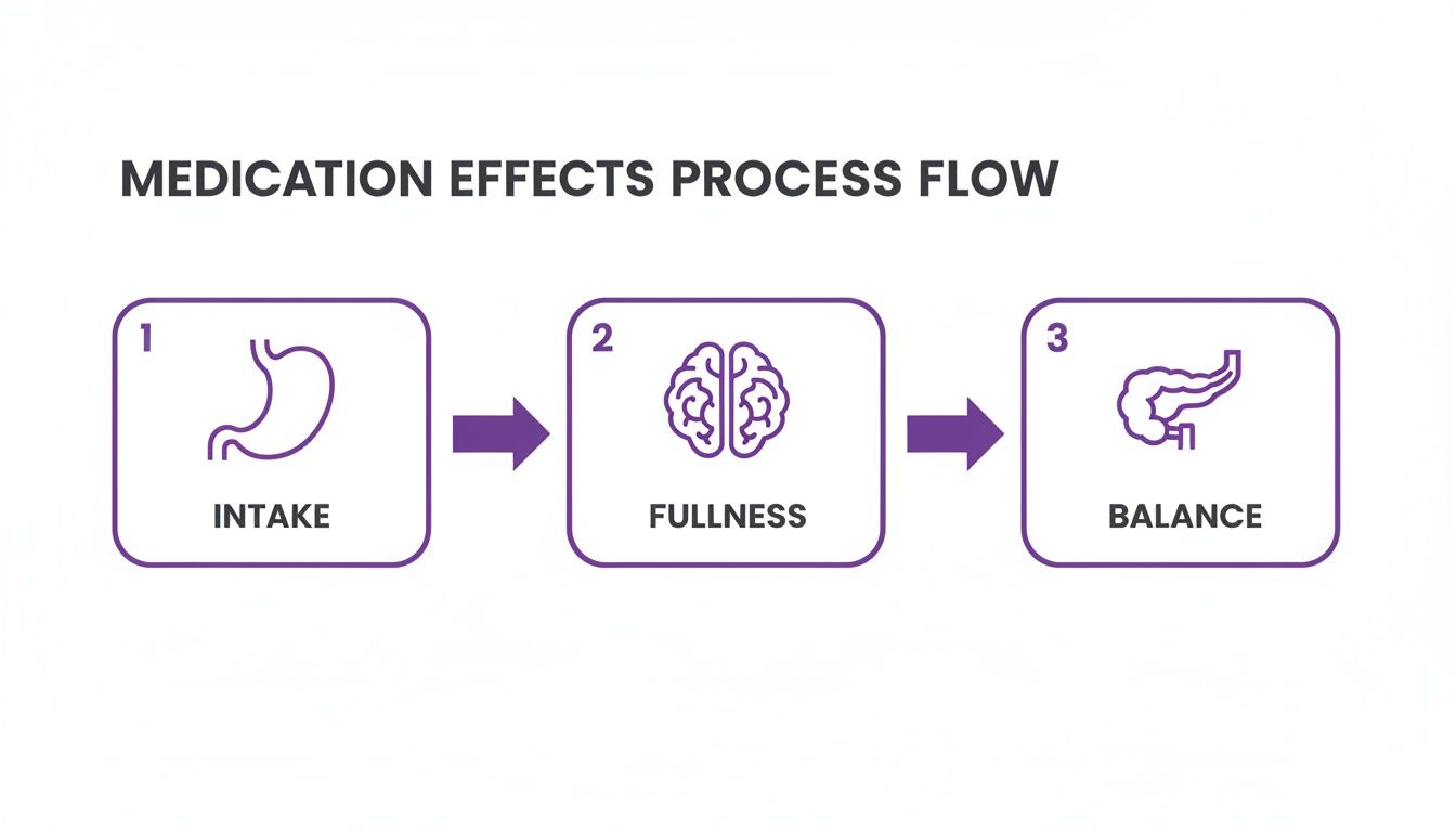 Medication effects process flow illustrating intake (stomach), fullness (brain), and balance (pancreas/intestines).