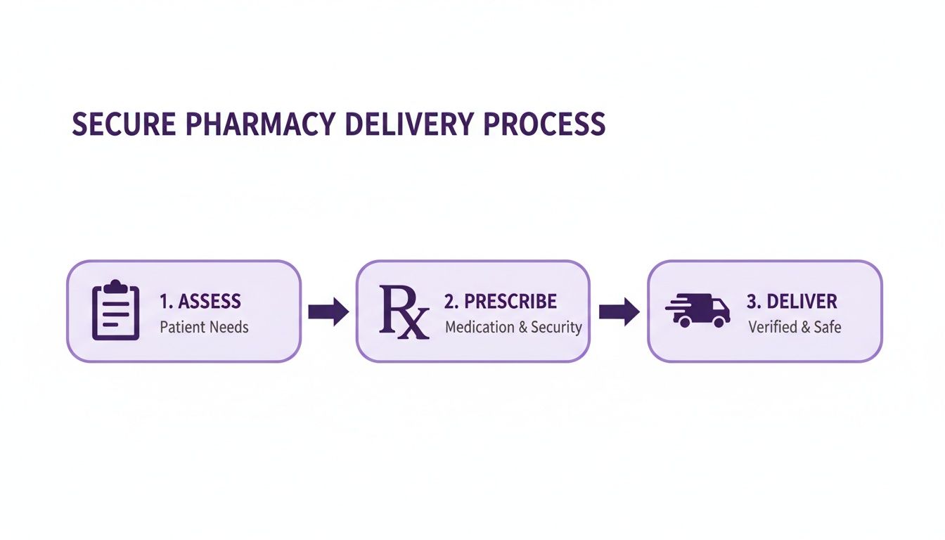 A diagram outlines the secure pharmacy delivery process, detailing assessment, prescribing, and safe delivery.