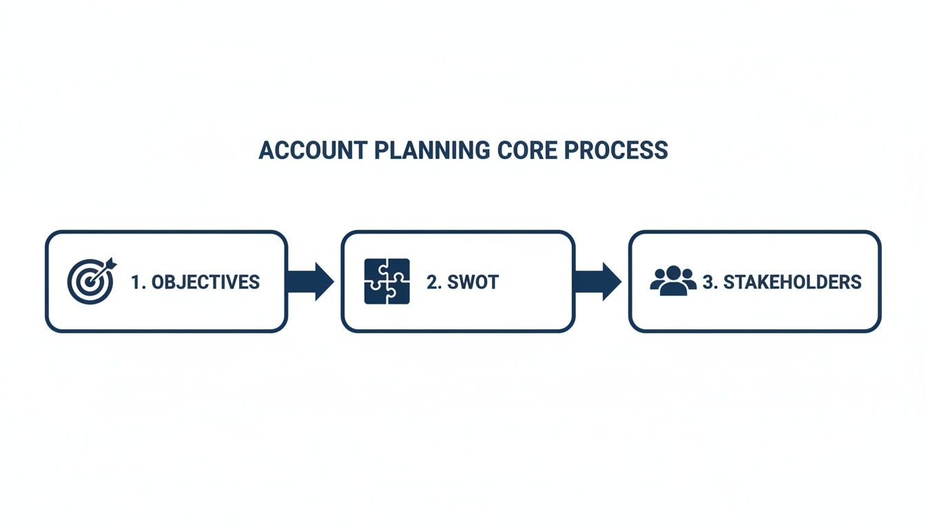 A three-step account planning core process flow chart with objectives, SWOT analysis, and stakeholders.