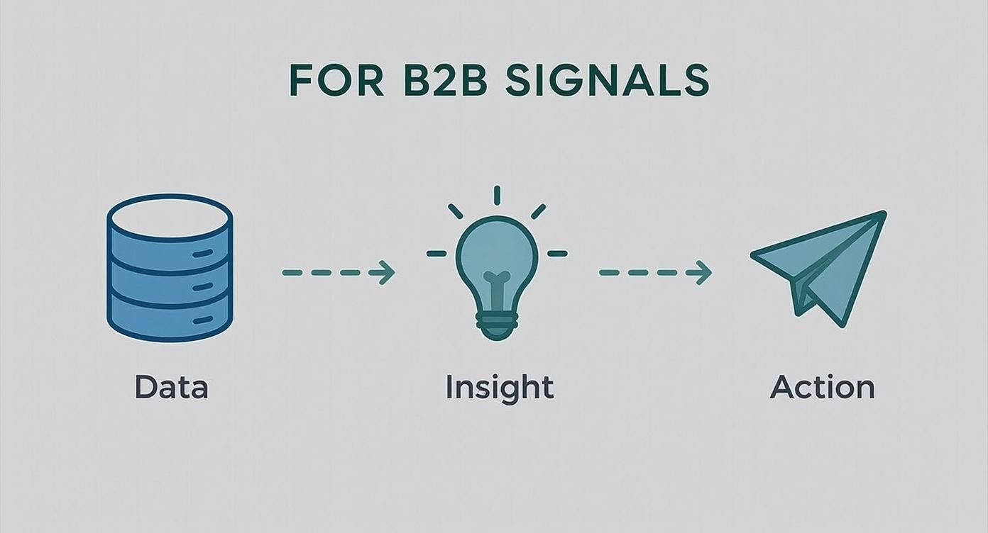 Infographic about b2b sales intelligence platform