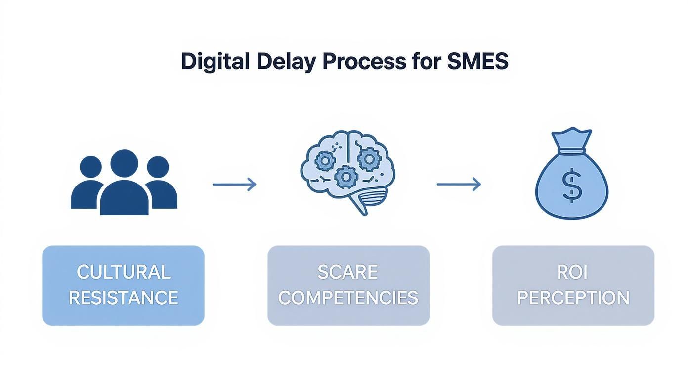 Infografica che mostra le tre barriere alla digitalizzazione nelle PMI: Resistenza culturale, Scarse competenze e Percezione del ROI.