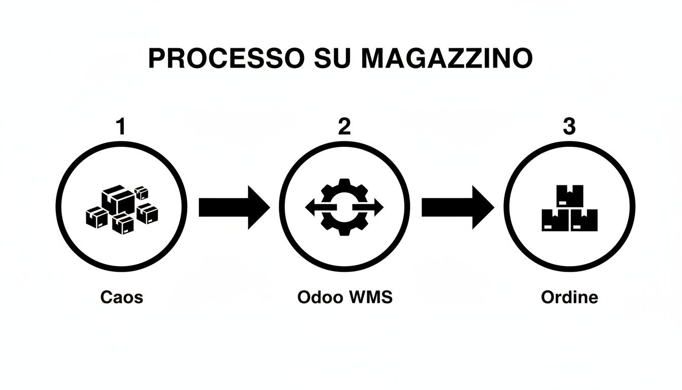 Diagramma del processo su magazzino che illustra il passaggio dal caos all'ordine tramite Odoo WMS.
