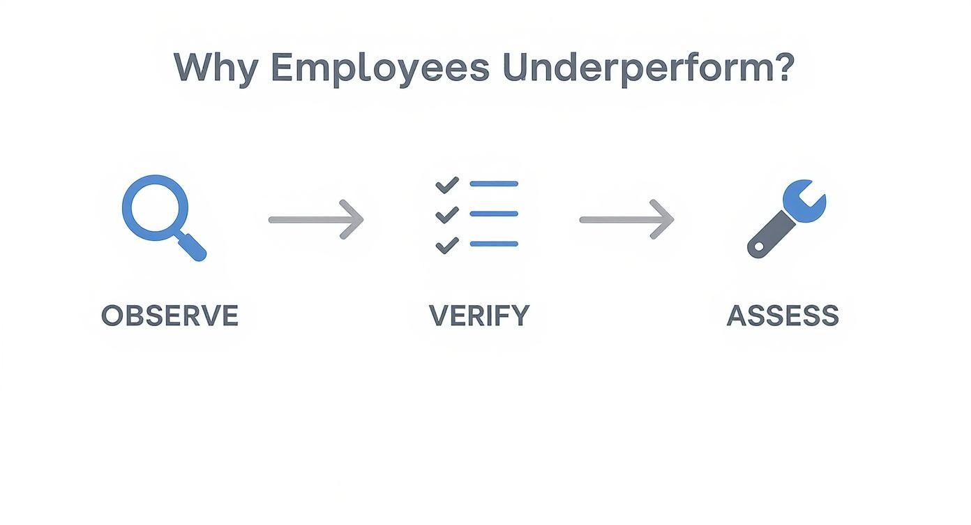Three-step process flowchart showing observe, verify, and assess stages for understanding employee underperformance