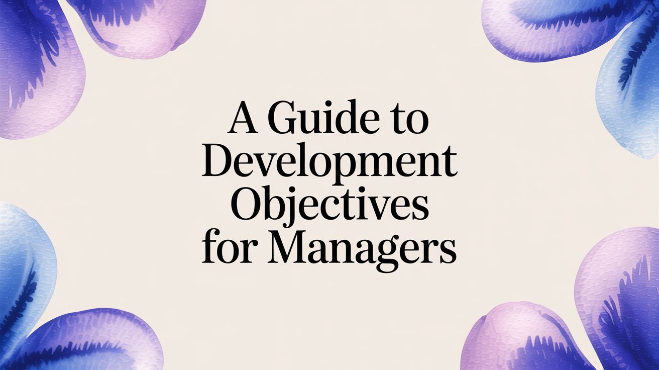 A Guide to Development Objectives for Managers